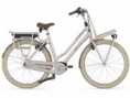 Gazelle Miss Grace C7 HMB